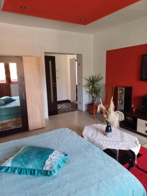 Apartament cu terasa la casa Elena